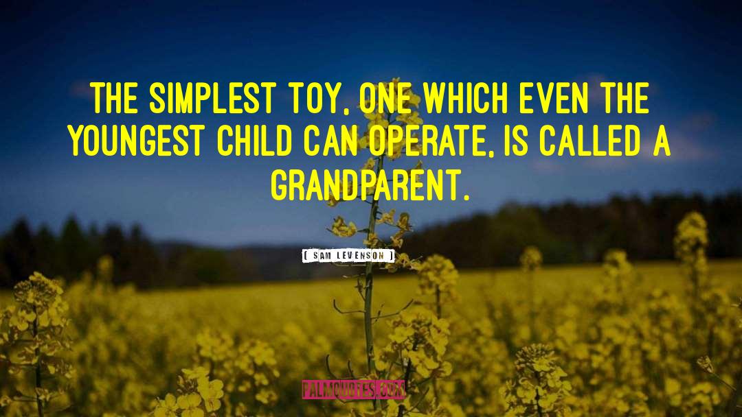 Toy quotes by Sam Levenson