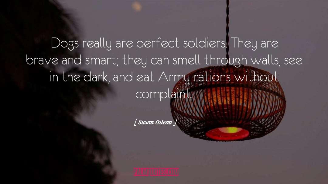 Toy Soldiers quotes by Susan Orlean