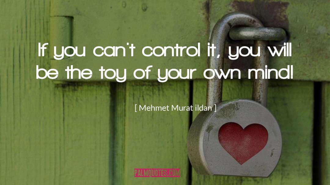 Toy Soldiers quotes by Mehmet Murat Ildan