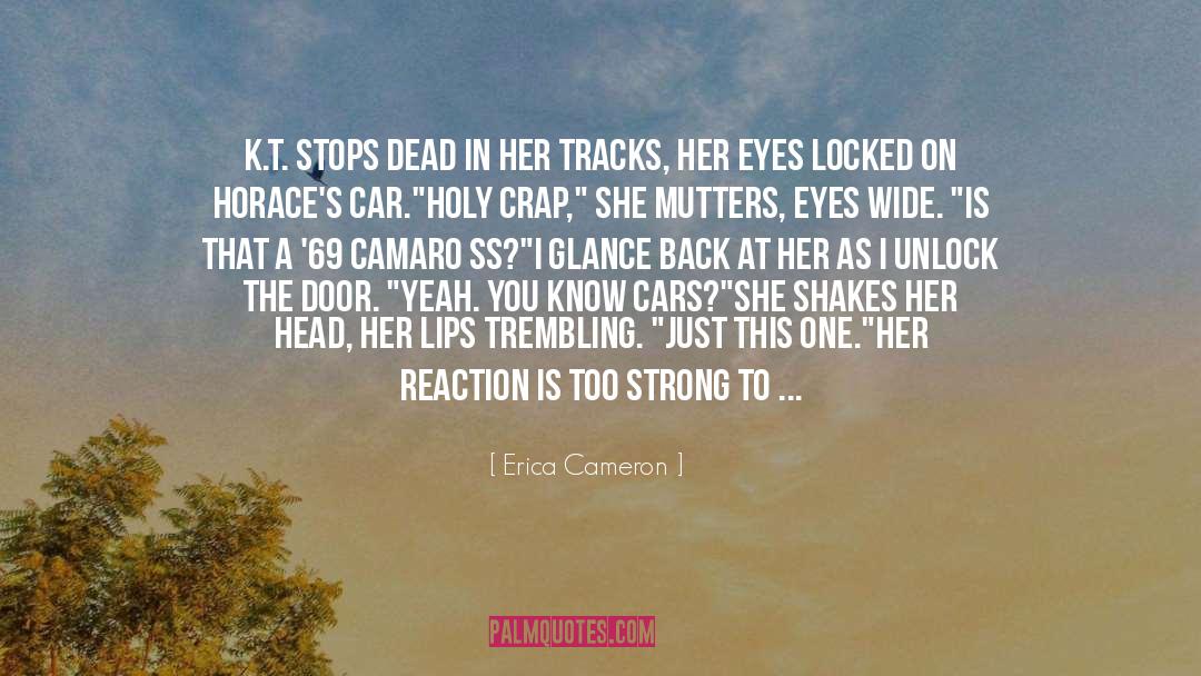 Tracks quotes by Erica Cameron