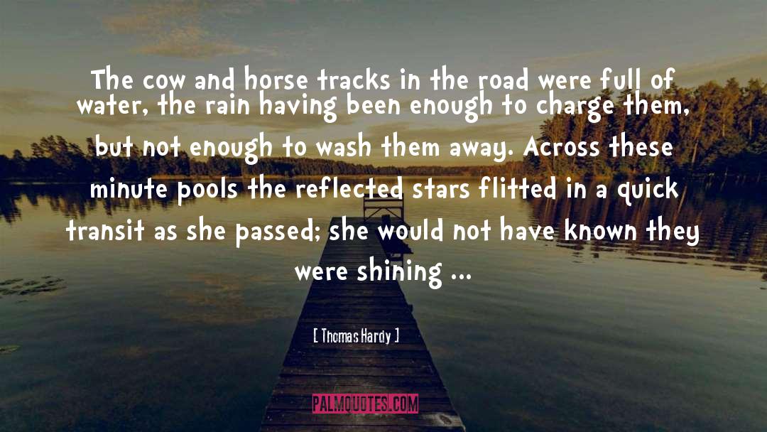 Tracks quotes by Thomas Hardy