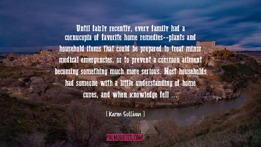 Traditional Healer quotes by Karen Sullivan