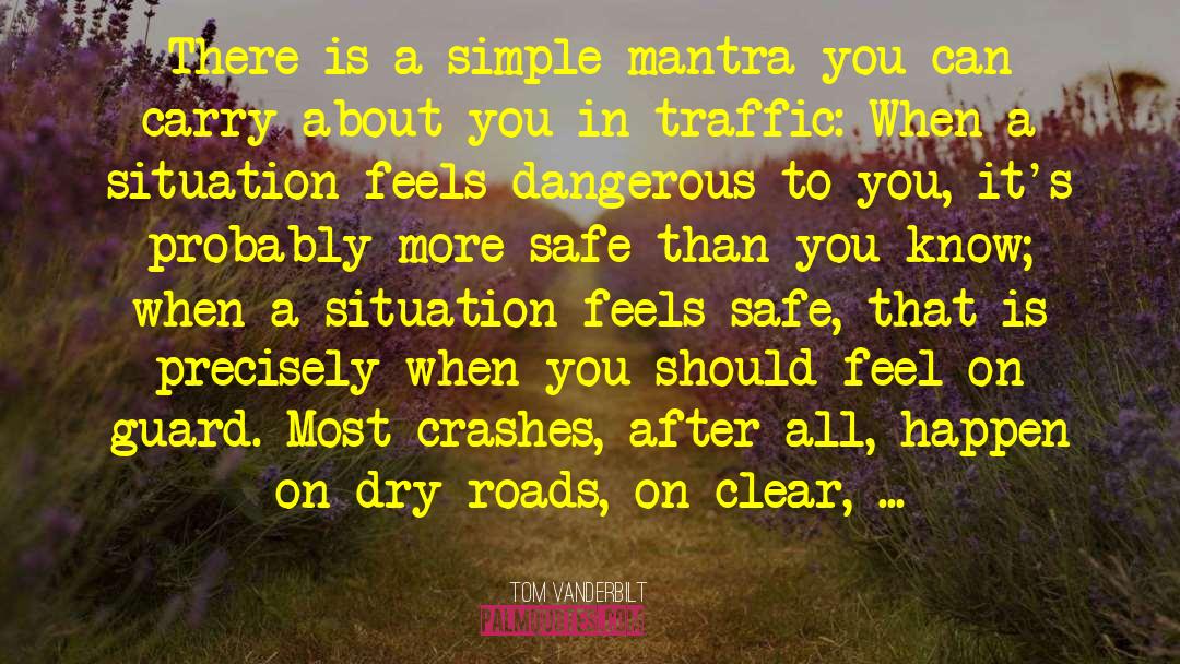 Traffic Accidents quotes by Tom Vanderbilt