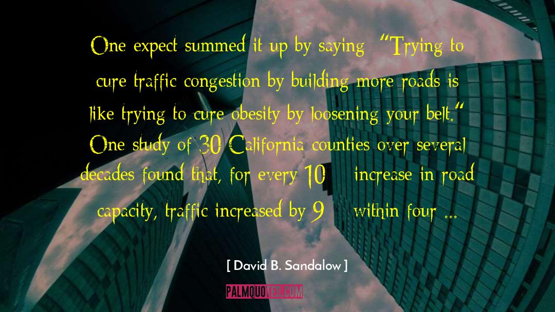 Traffic Congestion quotes by David B. Sandalow