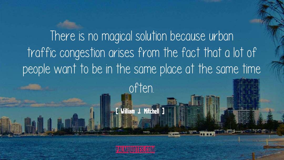Traffic Congestion quotes by William J. Mitchell