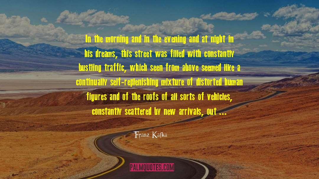Traffic Congestion quotes by Franz Kafka
