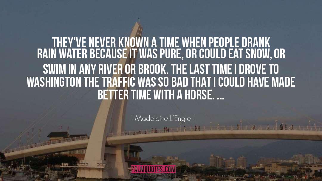Traffic Hazards quotes by Madeleine L'Engle