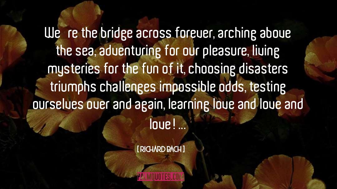 Tragedies And Triumphs quotes by Richard Bach