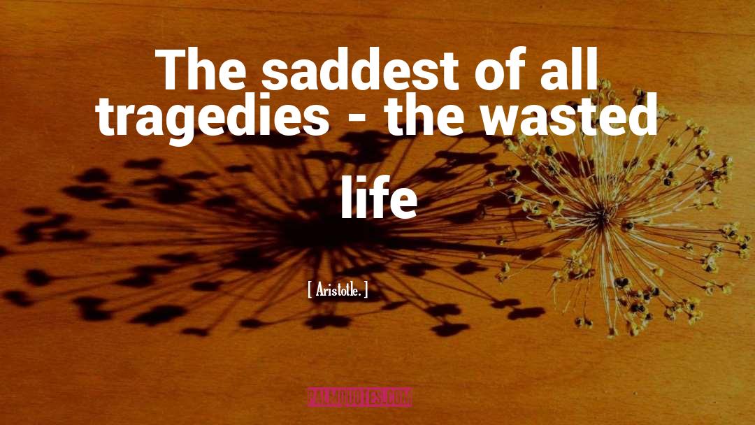 Tragedies quotes by Aristotle.