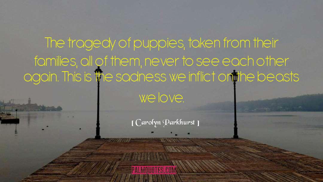 Tragedy Of Cancer quotes by Carolyn Parkhurst