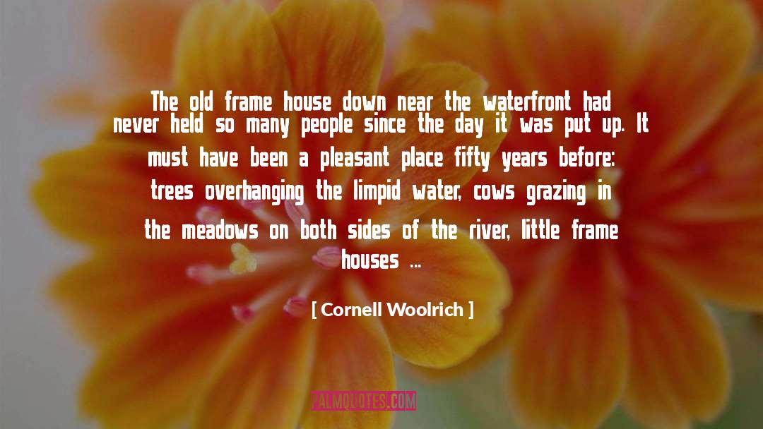 Trageser Water quotes by Cornell Woolrich