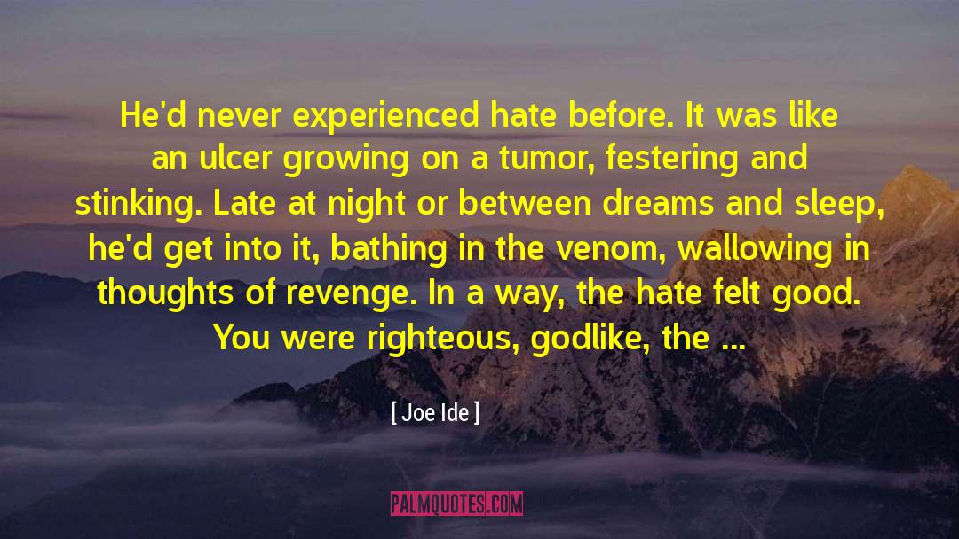 Tragic Loss quotes by Joe Ide