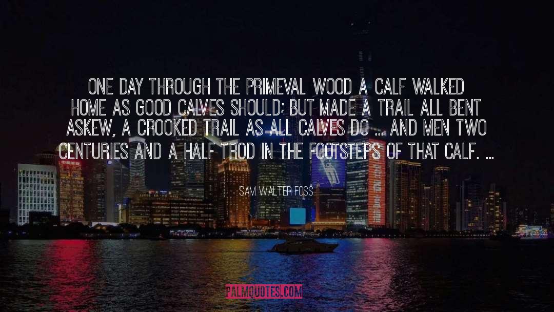 Trail Blazers quotes by Sam Walter Foss