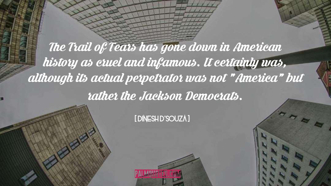 Trail Of Tears Primary Source quotes by Dinesh D'Souza