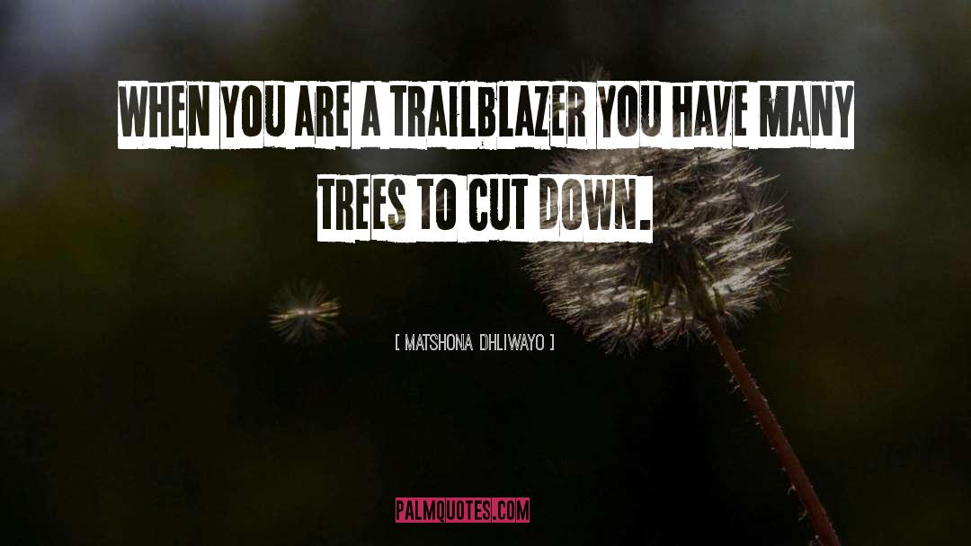 Trailblazer quotes by Matshona Dhliwayo