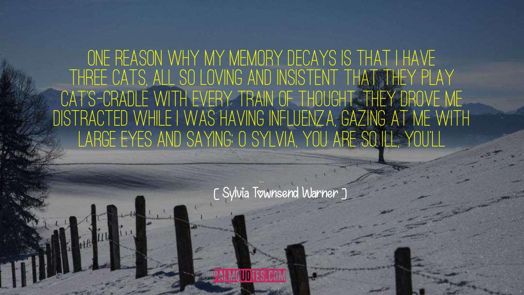 Train Of Thought quotes by Sylvia Townsend Warner