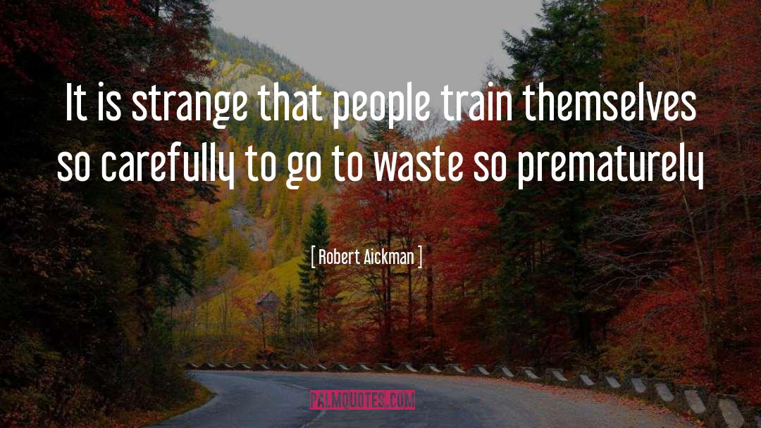 Train Ride quotes by Robert Aickman