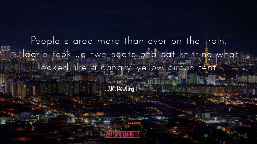 Train Tracks quotes by J.K. Rowling