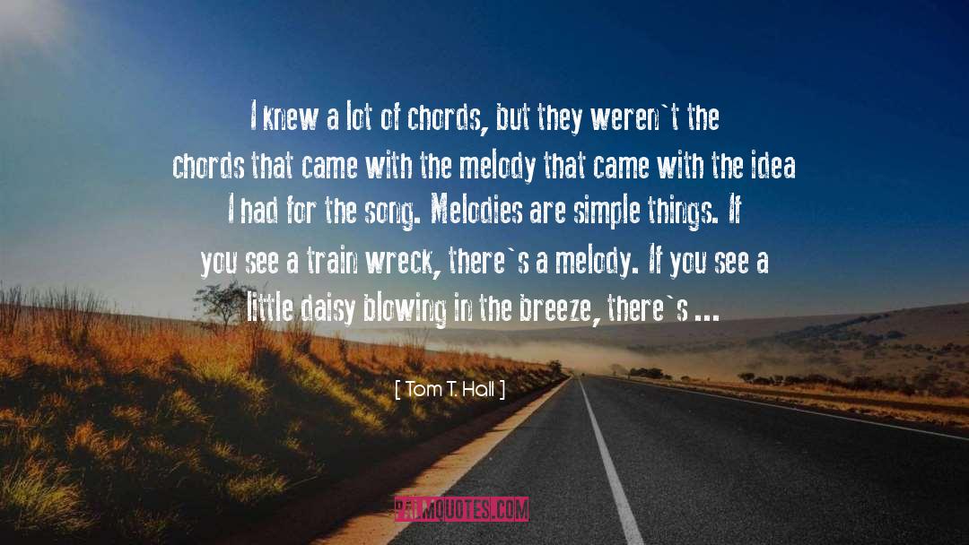 Train Wreck quotes by Tom T. Hall