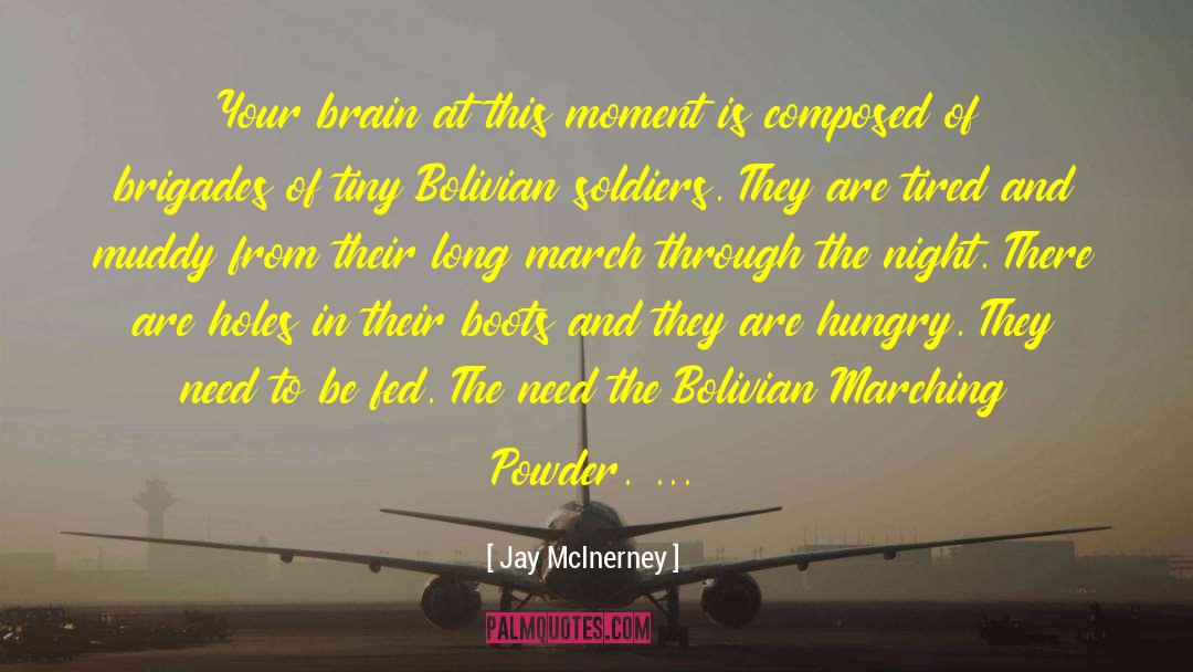 Train Your Brain quotes by Jay McInerney