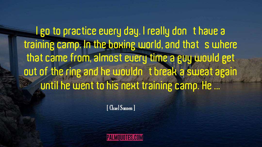 Training Camp quotes by Chael Sonnen