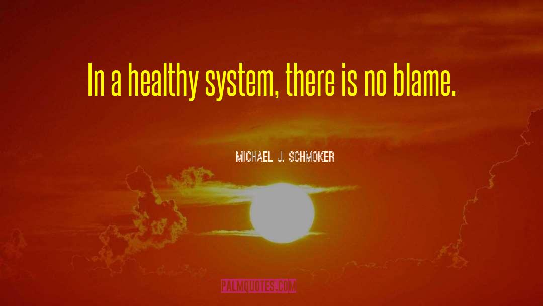 Training Management System quotes by Michael J. Schmoker