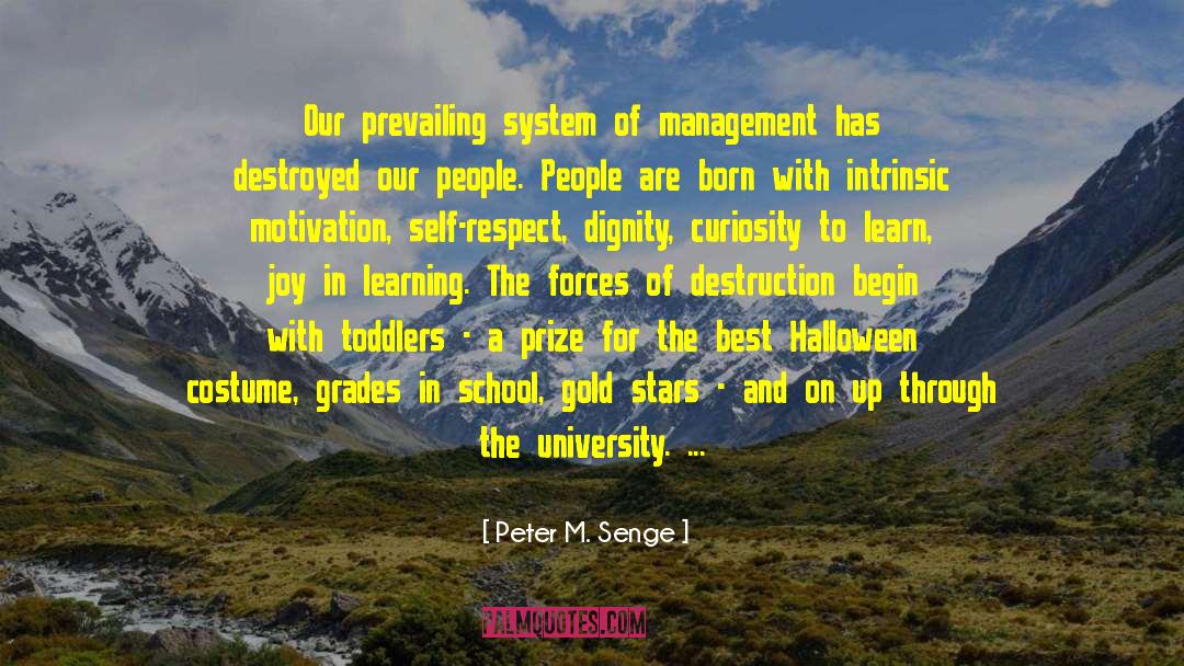 Training Management System quotes by Peter M. Senge