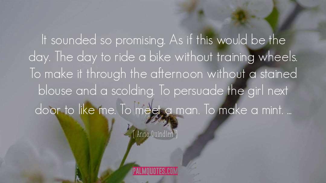 Training Wheels quotes by Anna Quindlen
