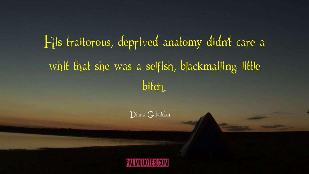 Traitorous I quotes by Diana Gabaldon