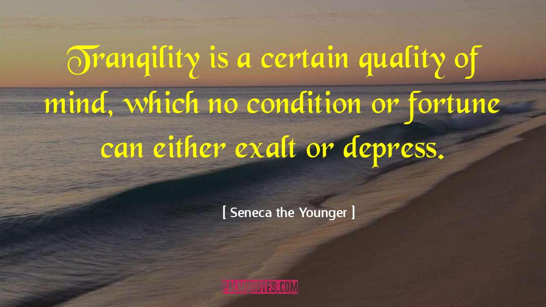 Tranqility quotes by Seneca The Younger