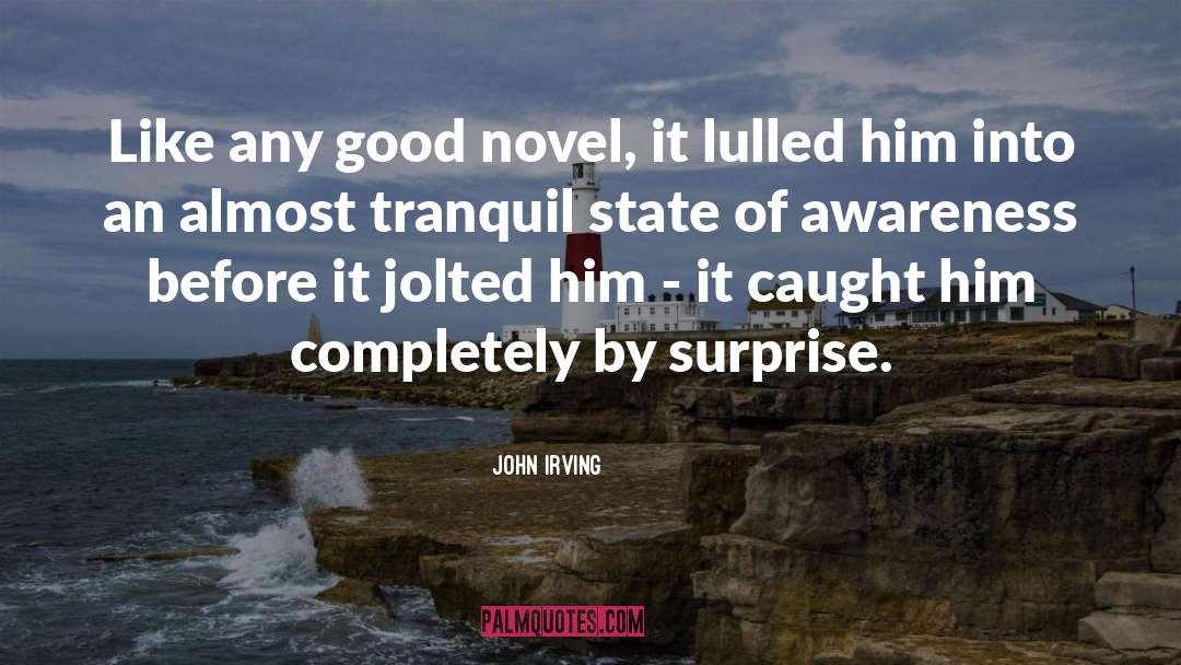 Tranquil quotes by John Irving