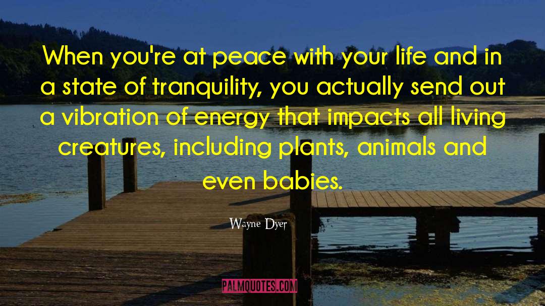Tranquility quotes by Wayne Dyer