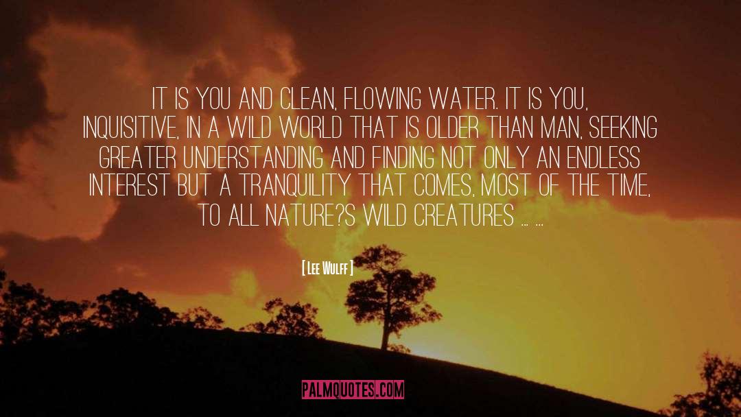 Tranquility quotes by Lee Wulff
