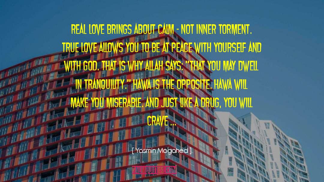 Tranquility quotes by Yasmin Mogahed