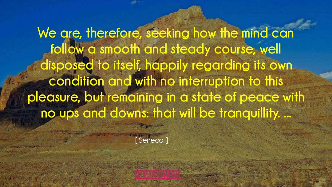 Tranquillity quotes by Seneca.