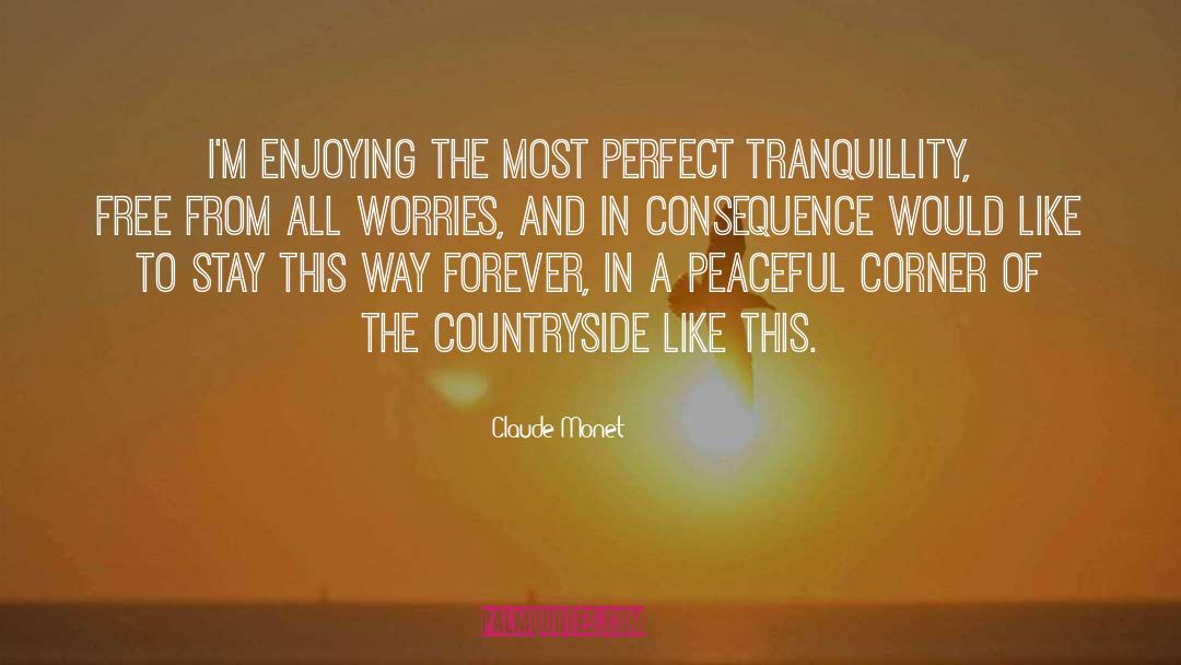 Tranquillity quotes by Claude Monet
