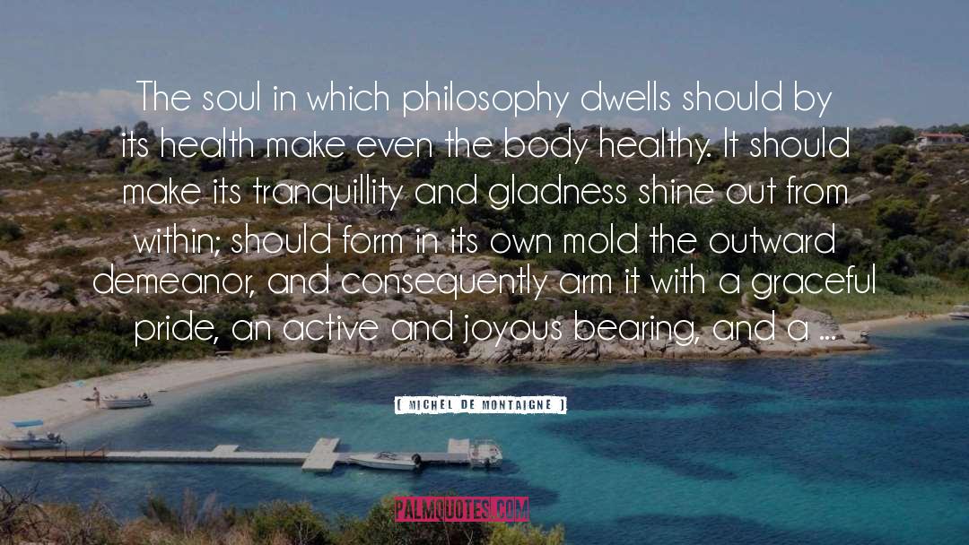 Tranquillity quotes by Michel De Montaigne