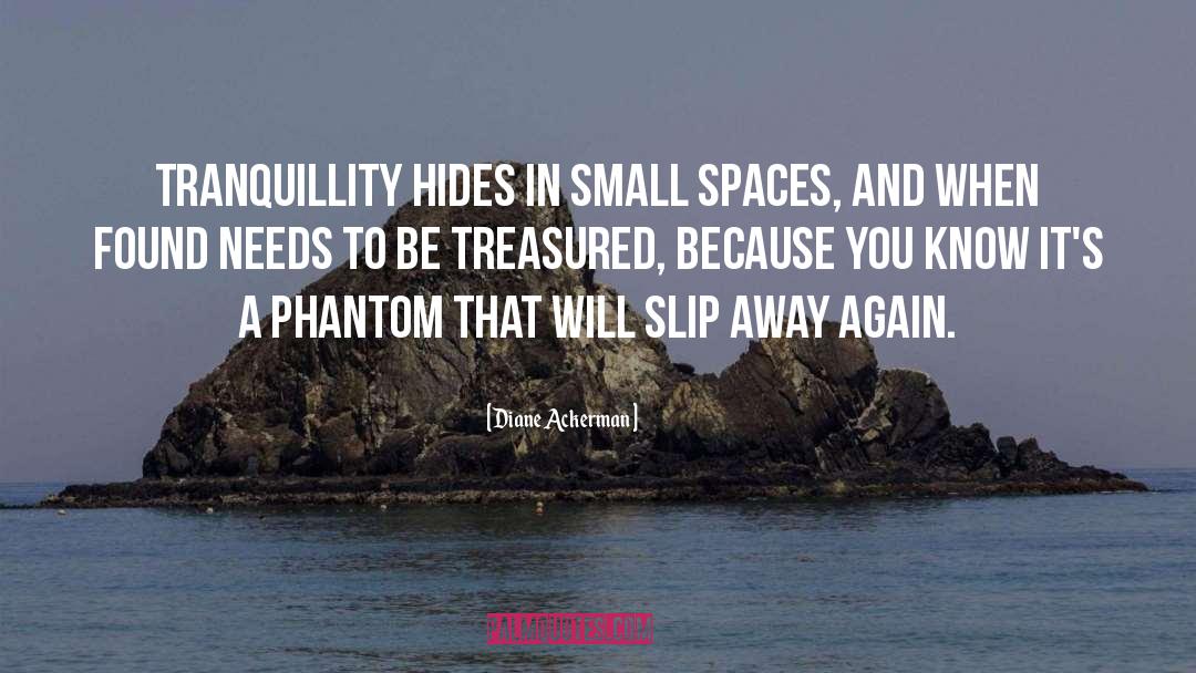 Tranquillity quotes by Diane Ackerman