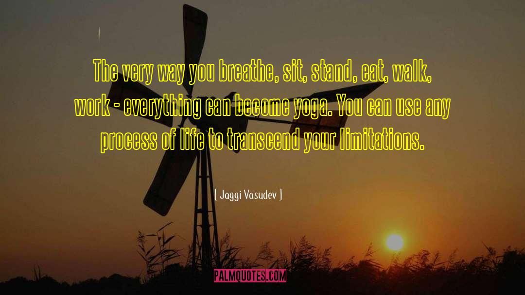 Transcend quotes by Jaggi Vasudev