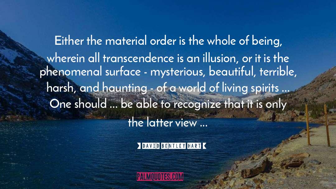 Transcendence quotes by David Bentley Hart
