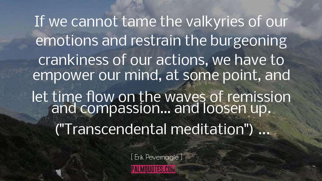 Transcendental Meditation quotes by Erik Pevernagie