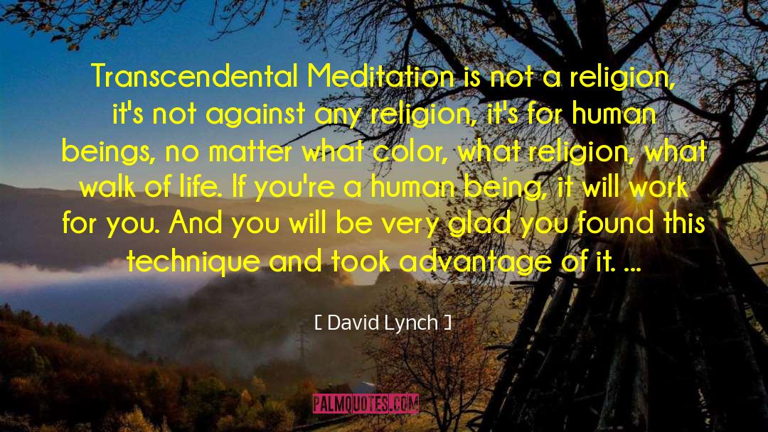 Transcendental Meditation quotes by David Lynch