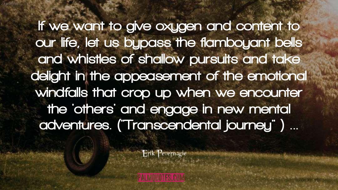 Transcendental quotes by Erik Pevernagie