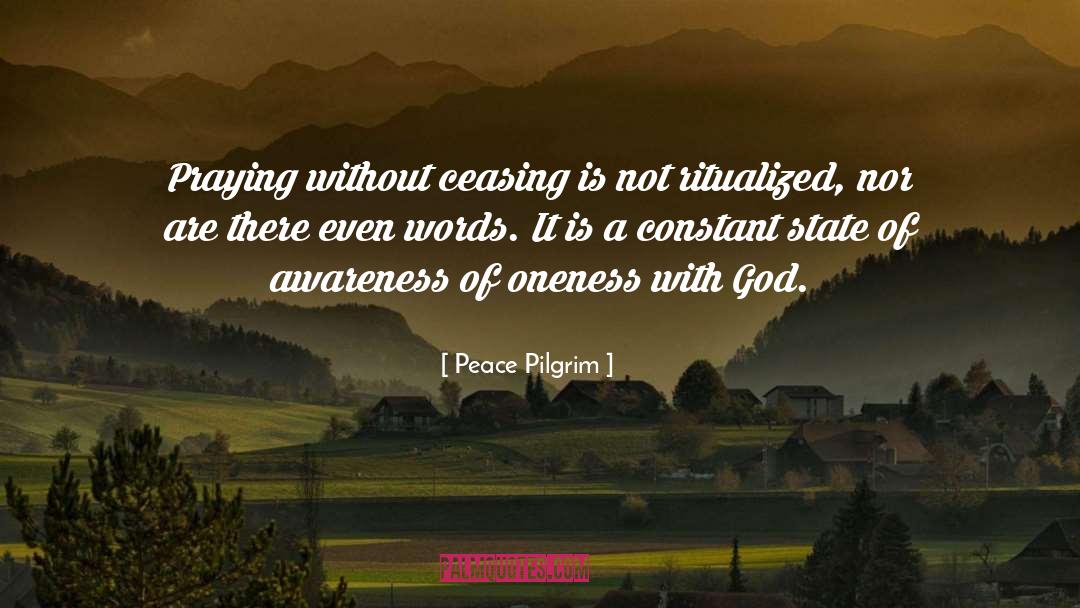 Transcendentalism quotes by Peace Pilgrim