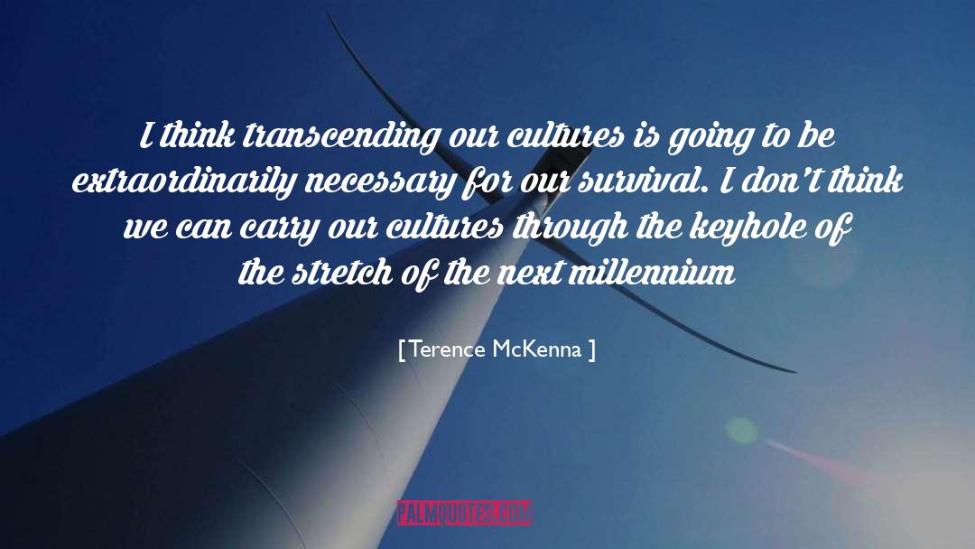 Transcending quotes by Terence McKenna