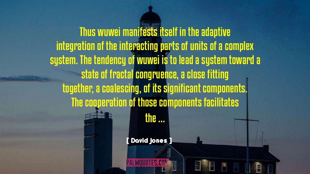 Transdisciplinary Integration quotes by David Jones