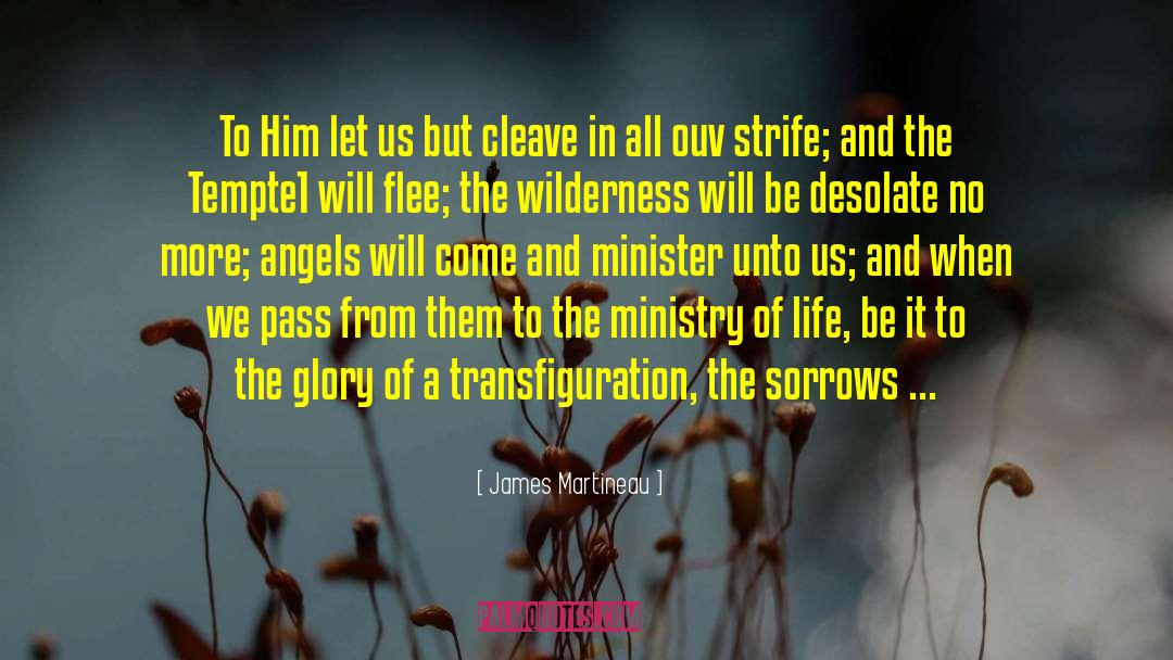 Transfiguration quotes by James Martineau