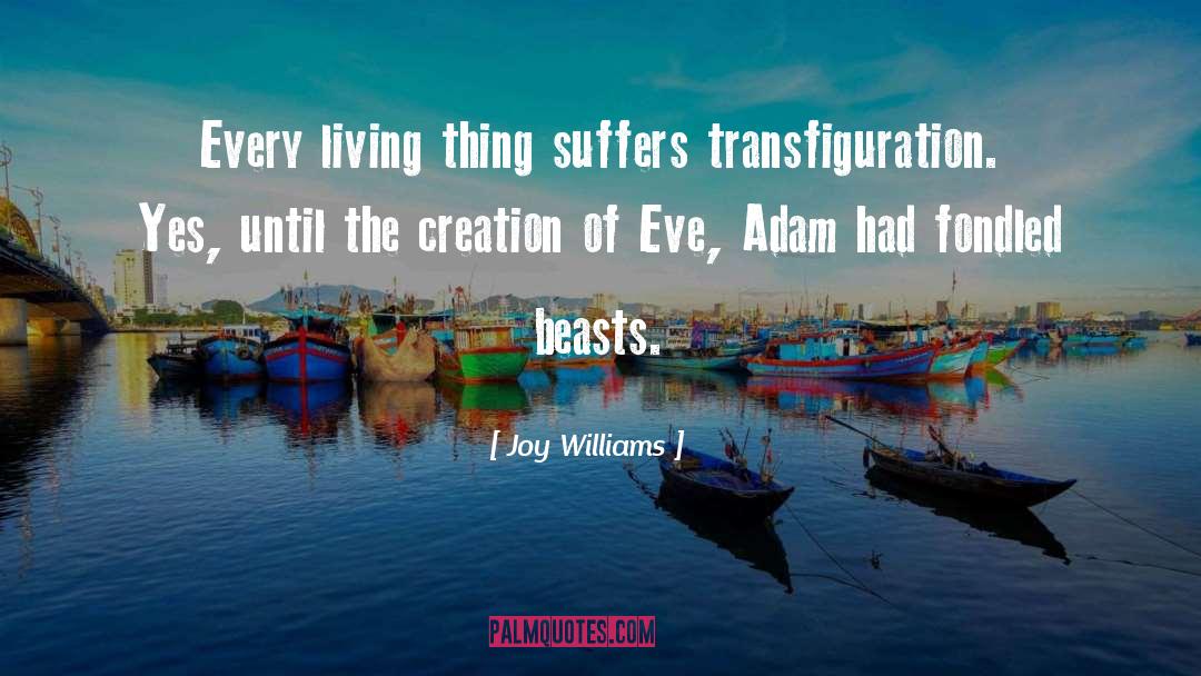 Transfiguration quotes by Joy Williams