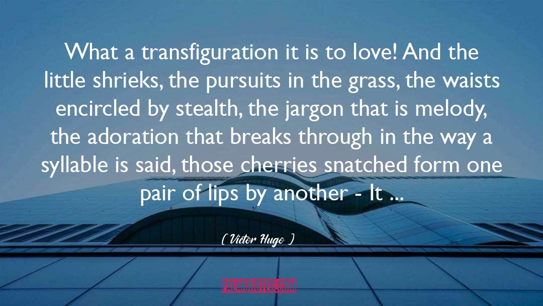 Transfiguration quotes by Victor Hugo