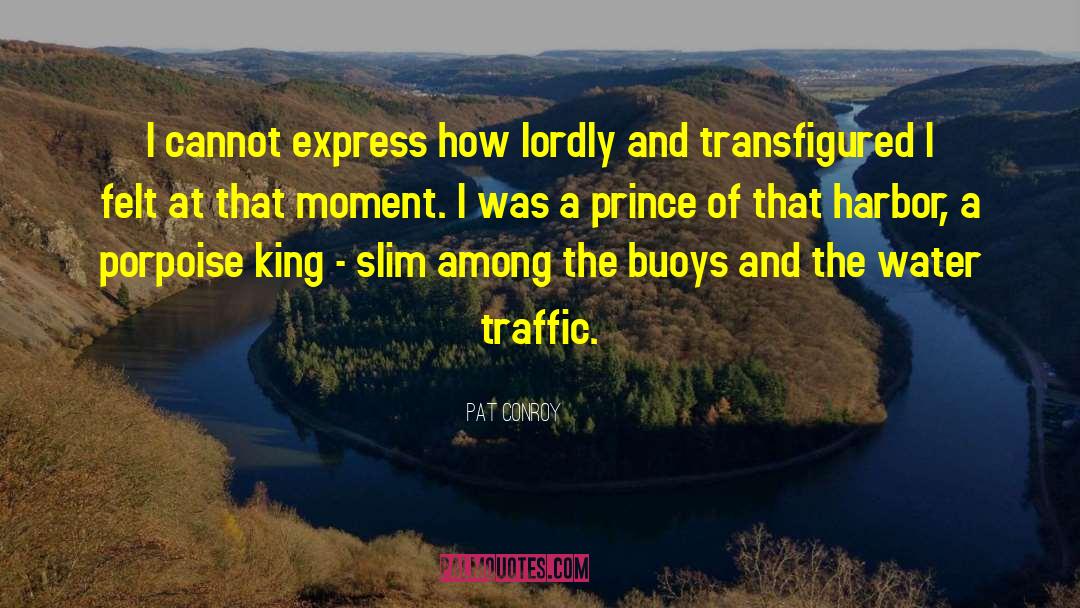 Transfigured quotes by Pat Conroy